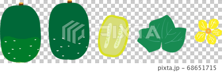 Winter melon set 68651715