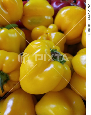 Paprika. Yellow pepper. Yellow background texture photo 68652192