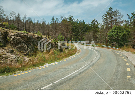 Road passing through burnt forest on rocky landscape Road passing through burnt forest on rocky landscape 68652765