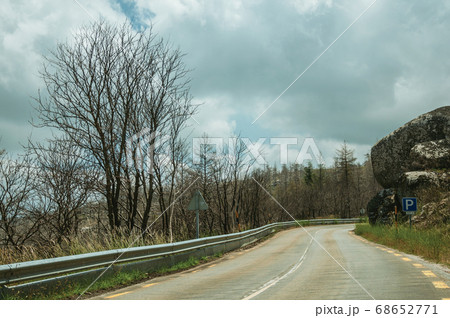 Road passing through burnt forest on rocky landscape Road passing through burnt forest on rocky landscape 68652771
