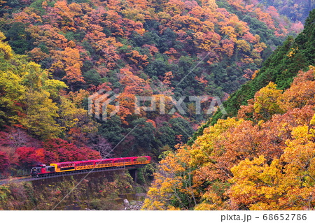 秋の京都 保津峡の紅葉とトロッコ列車の写真素材