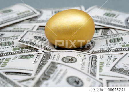 Golden egg isolated on dollar bank note background 68653241