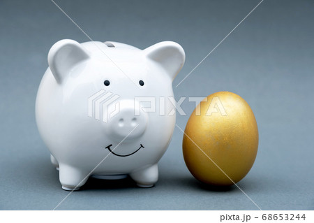 Golden egg and white piggy bank on gray background, Saving money for future plan and retirement Golden egg and white piggy bank on gray background, Saving money for future plan and retirement 68653244