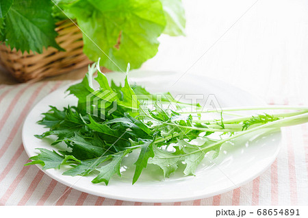 採りたて野菜　皿の上のミズナ 68654891