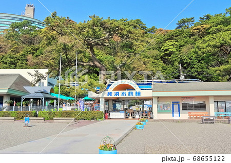 【高知県】 桂浜水族館 68655122