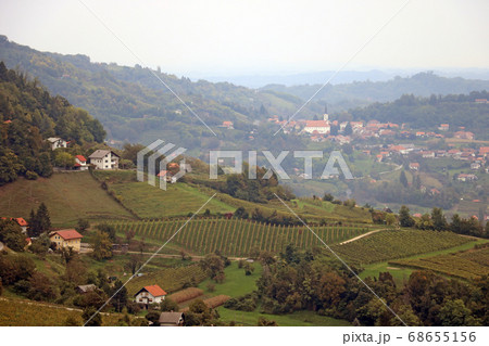 Top view of the vineyard valleys and the 68655156