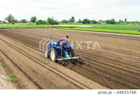 A farmer on a tractor plows the field for further sowing of the crop. Soil preparation. Working with a plow. Growing vegetables food plants. Farming agribusiness. Agricultural industry. 68655766