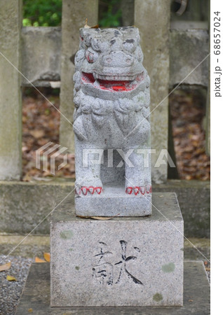 狛犬（山内神社･東参道／高知県高知市鷹匠町2-4-65） 68657024