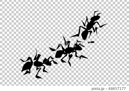 筆絵 アリのイラスト素材