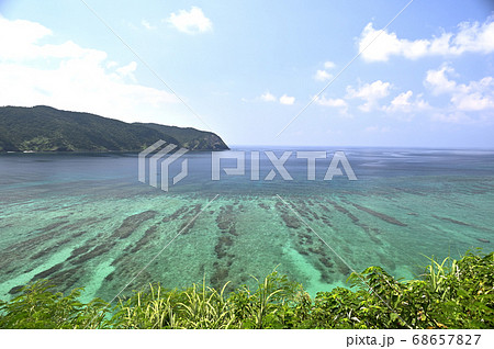 奄美大島の夏の海 68657827