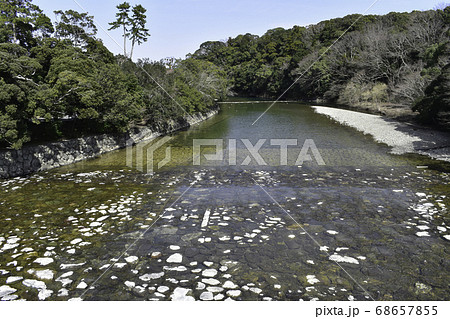 五十鈴川の春 68657855