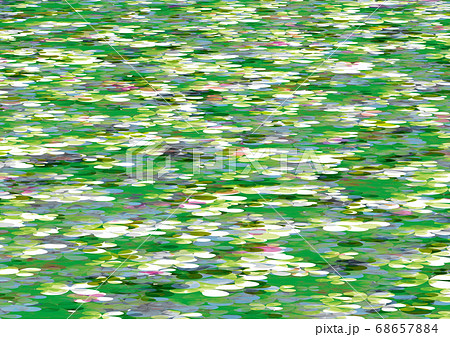 静かな睡蓮の池 68657884