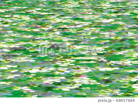 静かな睡蓮の池 68657884