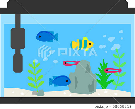 水槽で泳ぐカラフルな熱帯魚のイラスト素材