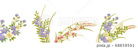 和柄素材 秋の草花 のイラスト素材