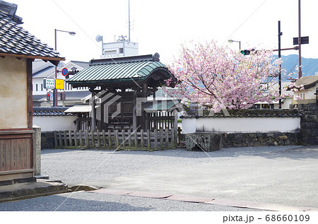 萩市の旧剣術道場の外庭の景色 萩市の旧剣術道場の外庭の景色 68660109