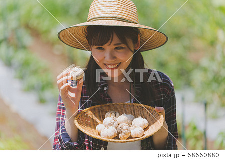 Farming 68660880