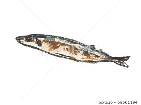 筆で手描きした焼き秋刀魚のイラストのイラスト素材