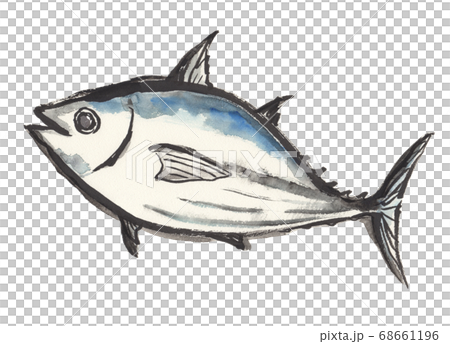 魚手繪插圖用刷子 插圖素材 圖庫