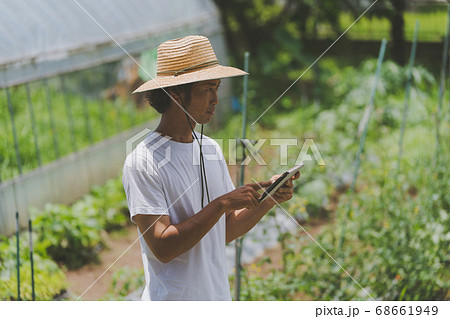 Farming 68661949