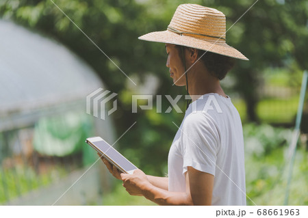 Farming Farming 68661963