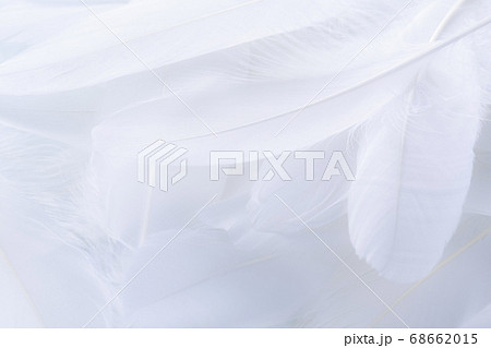 たくさんの羽根 68662015