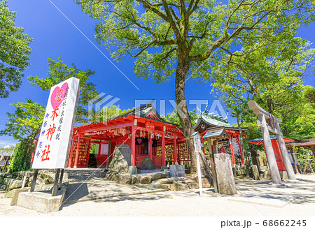 恋木神社・水田天満宮 福岡県筑後市 恋木神社・水田天満宮 福岡県筑後市 68662245