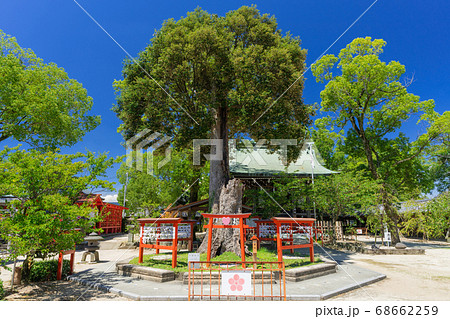 恋木神社・水田天満宮 福岡県筑後市 恋木神社・水田天満宮 福岡県筑後市 68662259