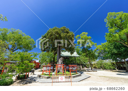 恋木神社・水田天満宮　福岡県筑後市 68662260