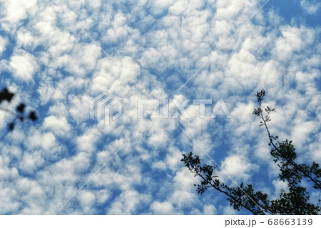 夏の雲 68663139