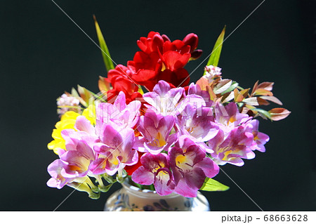 フリージアの花束の写真素材