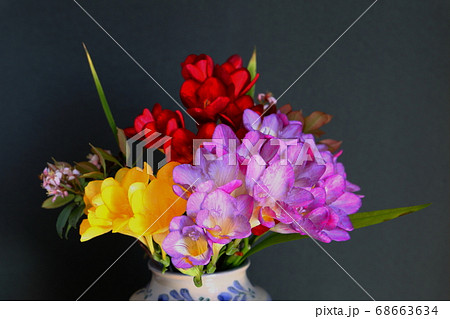 フリージアの花束の写真素材