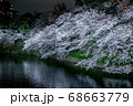 夜桜のライトアップ 68663779