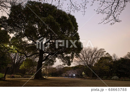 夜の公園 68663788