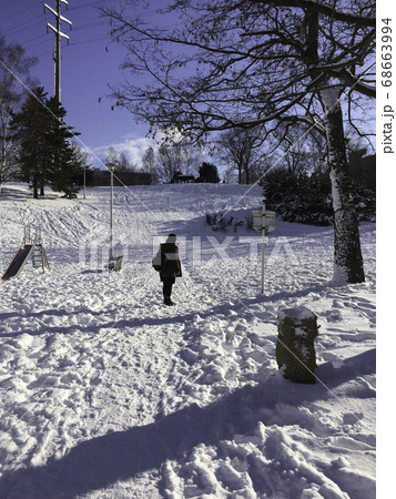 雪の平岸高台公園 68663994