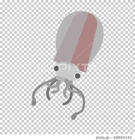 Illustration material of simple Aori squid 68664142