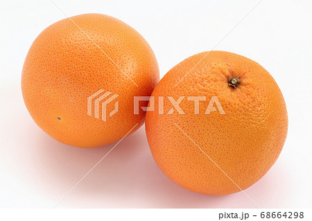 グレープフルーツ（ルビー） 68664298