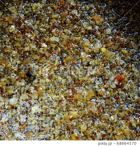 honeycomb from bee hive filled 68664570