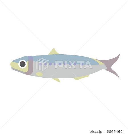 シンプルなイワシのイラスト素材のイラスト素材