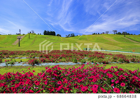 びわこ箱館山 夏のイベントの写真素材