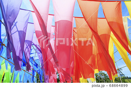 びわこ箱館山　夏のイベント 68664899