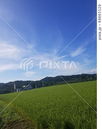 稲と空 68665529