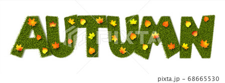 Autumn with grass texture 68665530