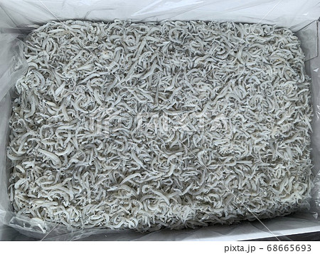 白い箱に入った大量の釜揚げしらす　写真素材 68665693