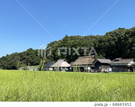 伊勢神宮のお米 神宮神田 伊勢神宮のお米 神宮神田 68665952