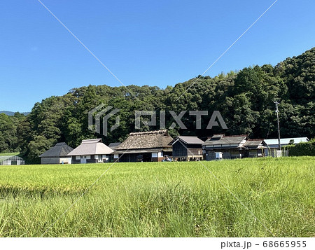 伊勢神宮のお米　神宮神田 68665955