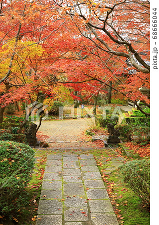 秋の勝持寺 紅葉風景 秋の勝持寺 紅葉風景 68666044