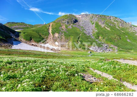 乗鞍岳  (7月  夏　晴れ) 68666282