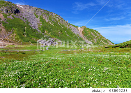 乗鞍岳 (7月 夏 晴れ) 乗鞍岳 (7月 夏 晴れ) 68666283