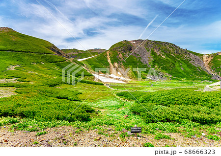 乗鞍岳 (7月 夏 晴れ) 乗鞍岳 (7月 夏 晴れ) 68666323